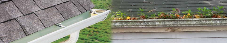 Get a gutter cleaning in Va today!